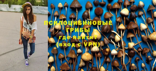 метадон Алексеевка