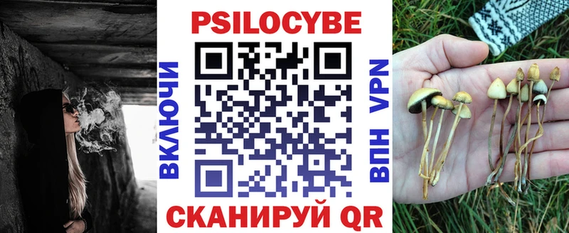 где купить наркоту  Краснообск  Галлюциногенные грибы Magic Shrooms 